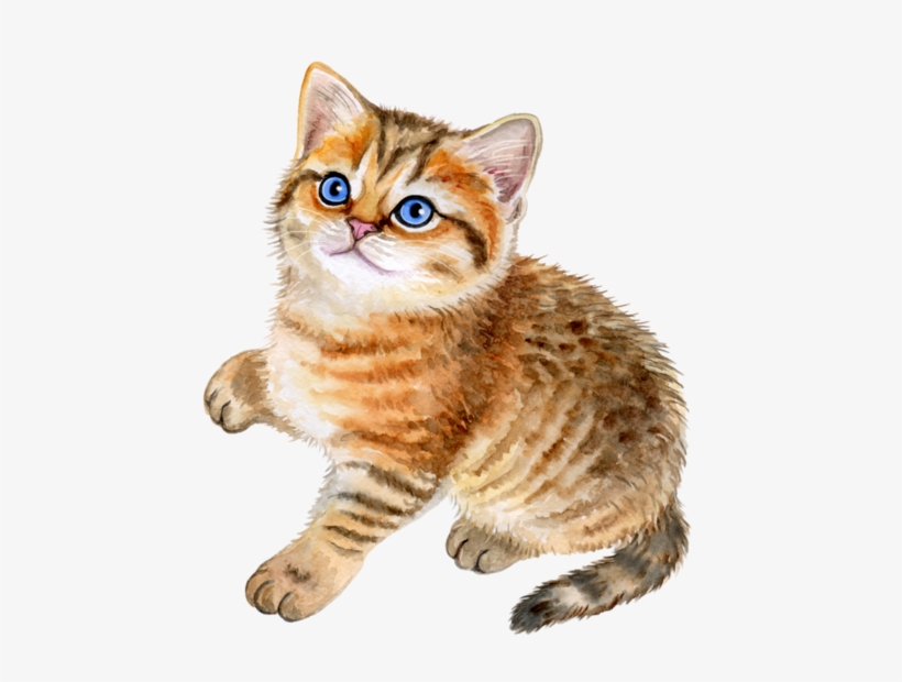 Kittens Banner Black And White Stock - Illustration, transparent png #5863596