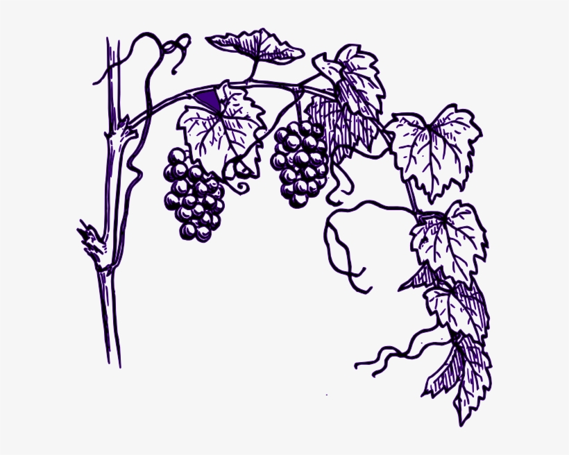 Grape Vine Clip Art - Grape Tree Clip Art, transparent png #5864139