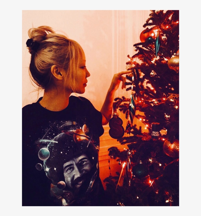 Not One To Dress Up For The Festive Season Do Like - Christmas Tree, transparent png #5865034