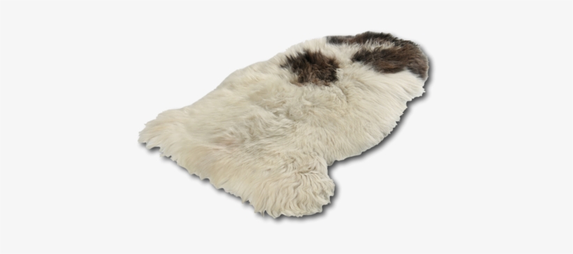 Esbeco, transparent png #5865869