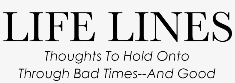 Picture - Alexander Mcqueen, transparent png #5865971