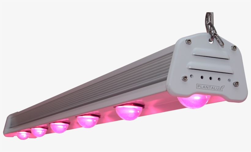 Horticulture Led Cob Lamp For Greenhouses - Proposal, transparent png #5866744