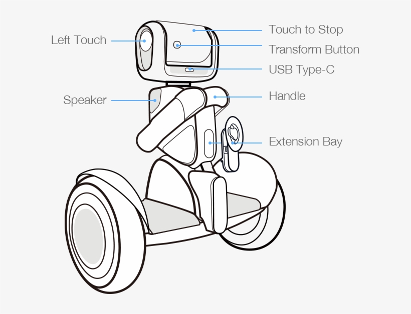 Spec's Wine, Spirits & Finer Foods, transparent png #5868006