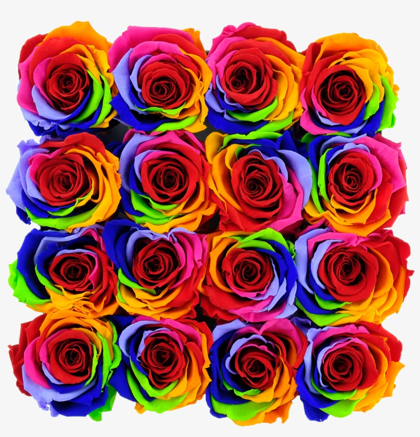 Rainbow Preserved Roses, transparent png #5868197
