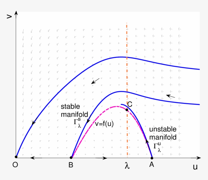 Basic Phase Portrait Of With A Coexistence Equilibrium - Plot, transparent png #5868516