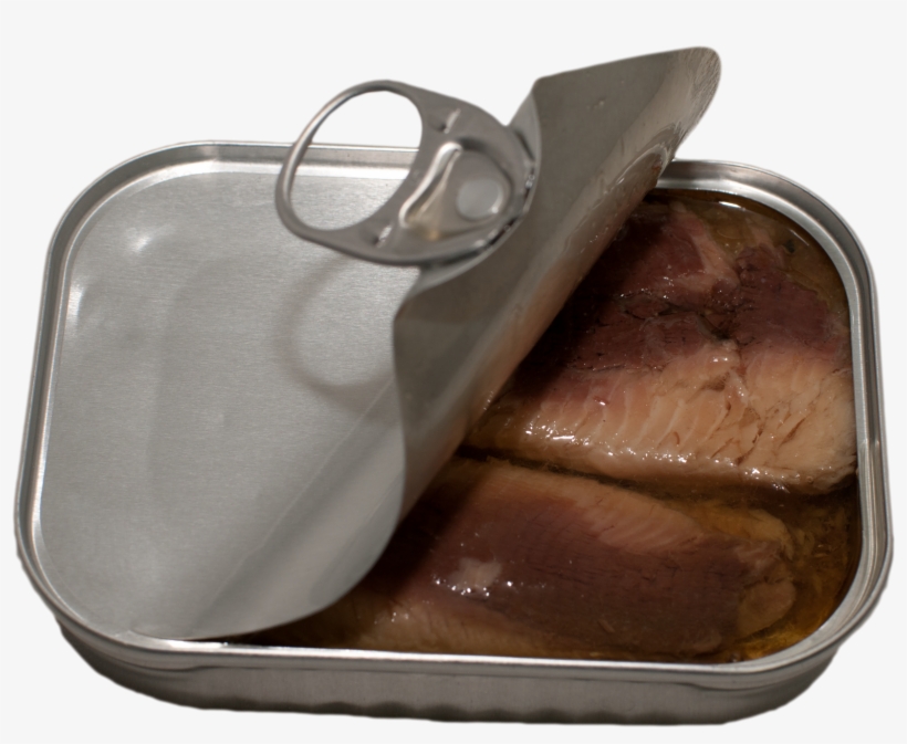 The Truth About Sardines - Truth, transparent png #5869054