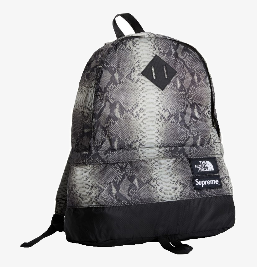 supreme the north face snakeskin lightweight day pack
