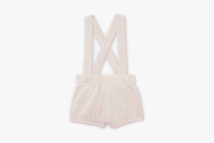Brassiere, transparent png #5869192