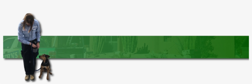 Bed Bugs - Christmas Tree, transparent png #5874453