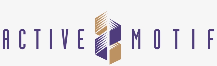 Active Motif Logo Png Transparent - Active Motif Logo, transparent png #5874541