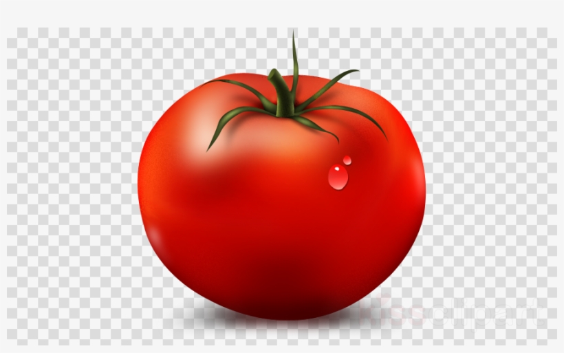 Transparent Camera Png Icon, transparent png #5875469