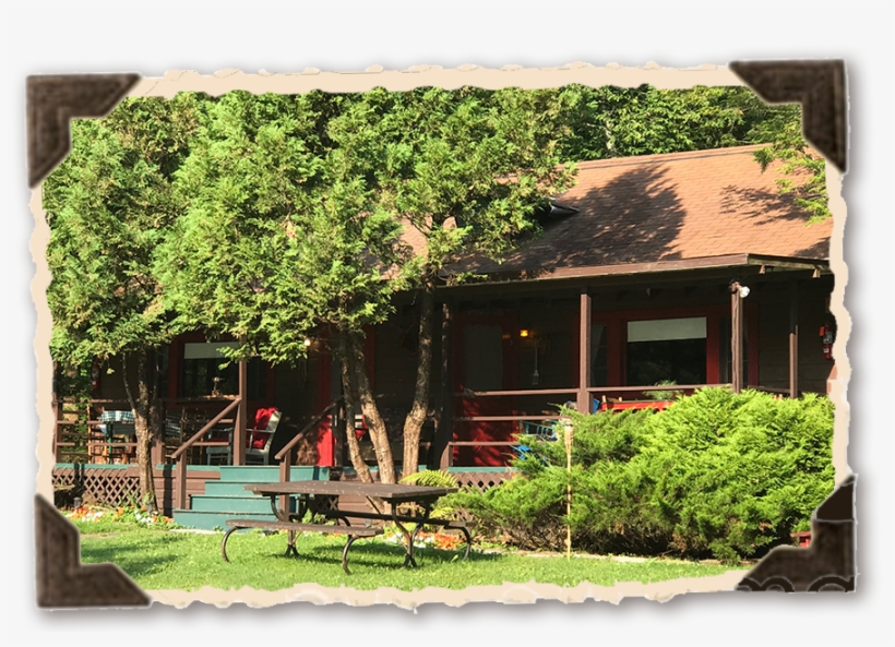 Hickory-new - Portable Network Graphics, transparent png #5877576