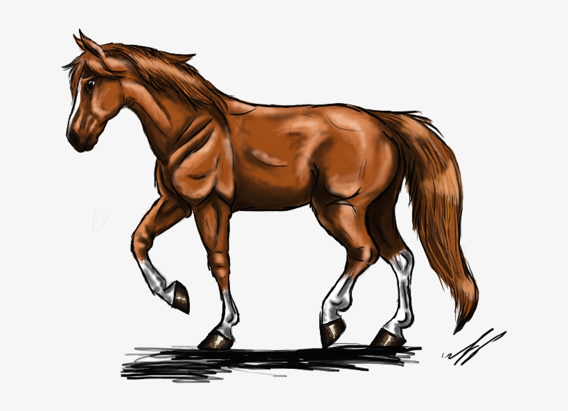 Chestnut, transparent png #5877991