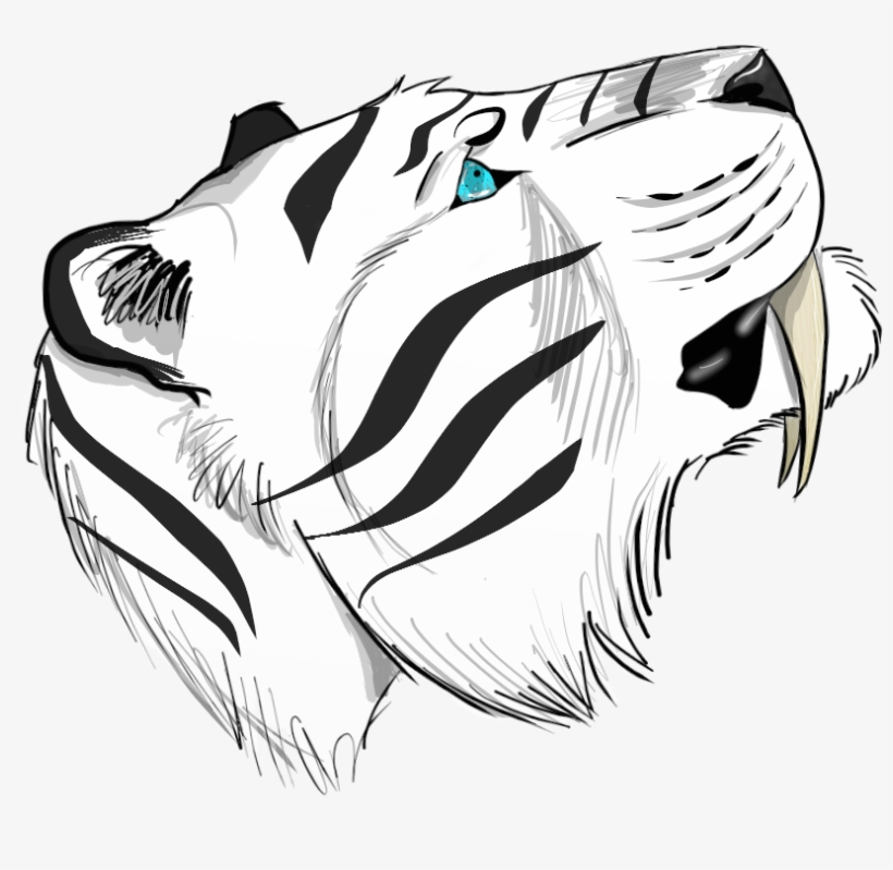 Details - Sketch, transparent png #5878320