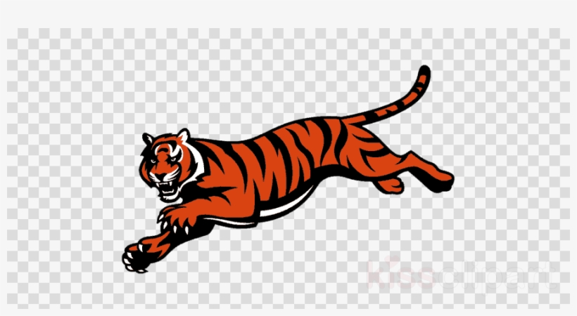 Cincinnati Bengals Logo Clipart Cincinnati Bengals - Cincinnati Bengals Logo, transparent png #5878658