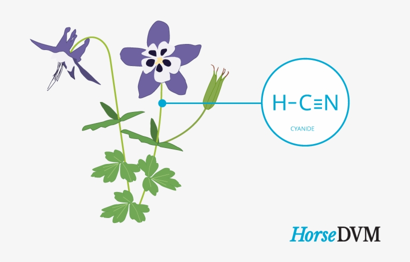 Columbine Toxic Components, transparent png #5882251