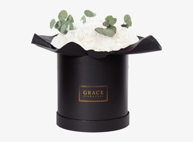 White Carnation - Cylinder, transparent png #5882535