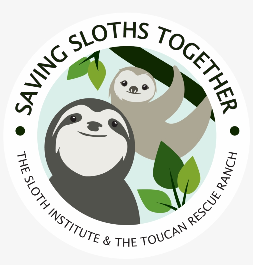 #backinthetrees #borntobewild - Sloths Logo, transparent png #5886596