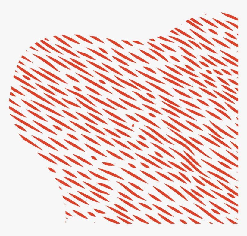 Insure Your Life - Accomplish Insurance - Life Insurance, Disability Insurance, transparent png #5887599