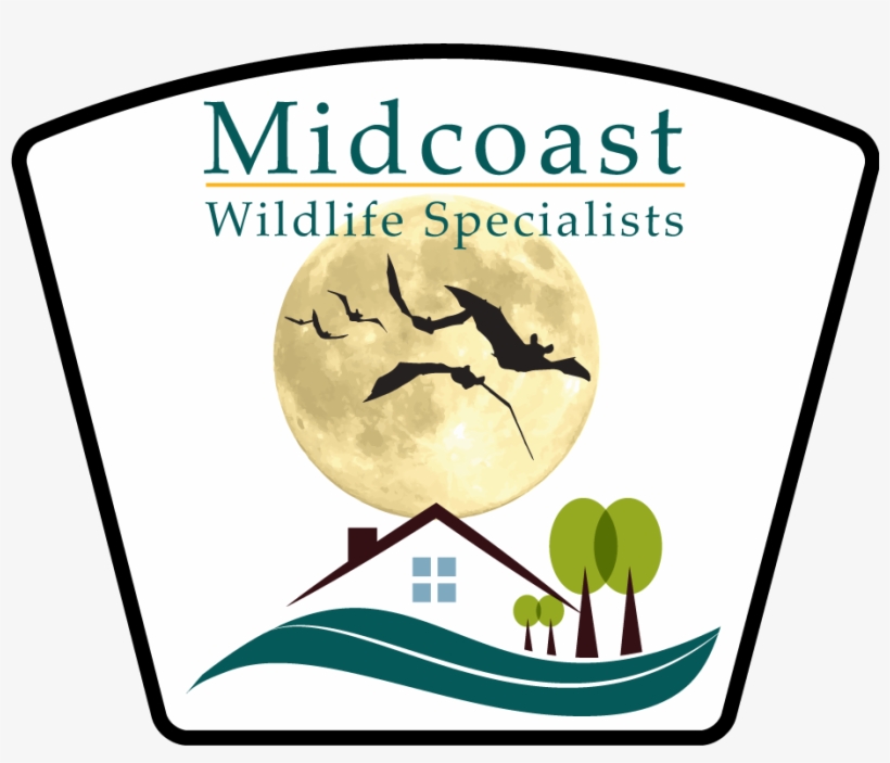 Logo Experiment Final, transparent png #5888079