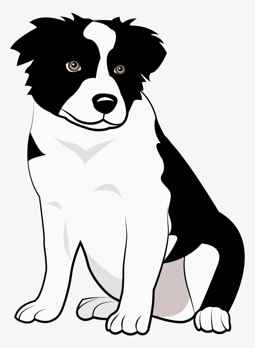 Boder Collie, transparent png #5888269