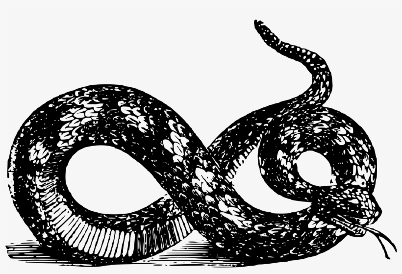 Image Png - 7 Deadly Sin Brutal Illustration, transparent png #5888399