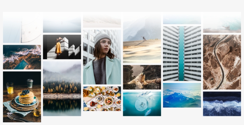 Photography Site Unsplash Raises $7,25 With Ost As - Golden Trees On Foggy Autumn Lake: 150 Page Lined 6, transparent png #5888503