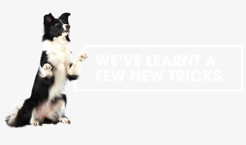 S2 - Expert, transparent png #5888816