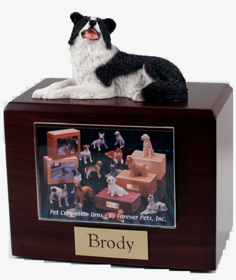 Border Collie -laying - Dog Figurines, transparent png #5889301