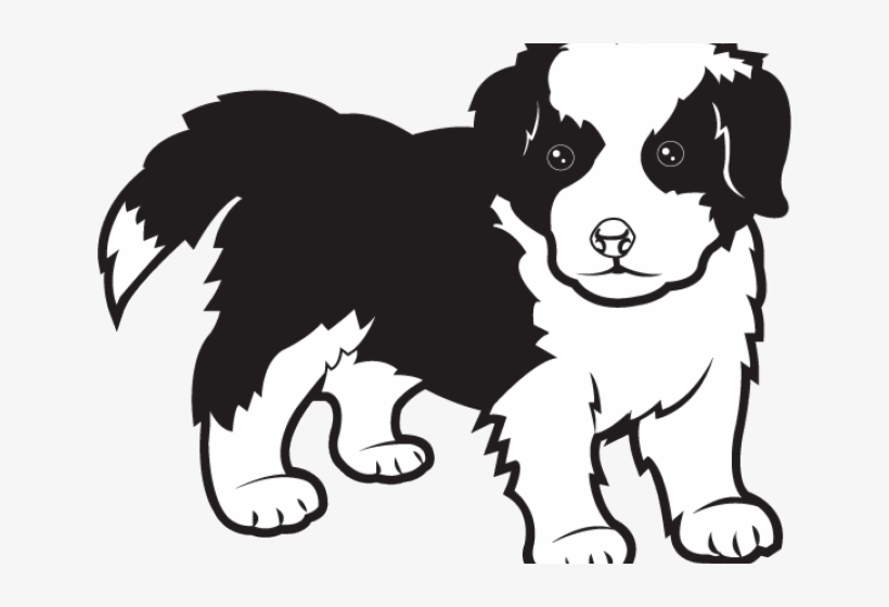 Border Collie Clipart, transparent png #5889354