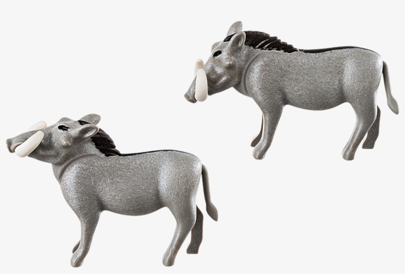 Warthogs - Playmobil 6941 Wart-hog, transparent png #5889501