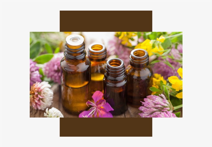 Tags, transparent png #5889769