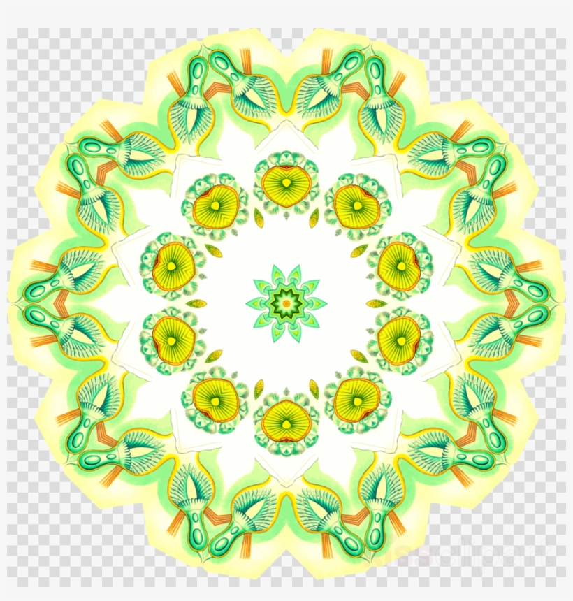 Framed Art Print, transparent png #5890124