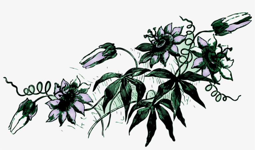 Flower Vine Png, transparent png #5890359