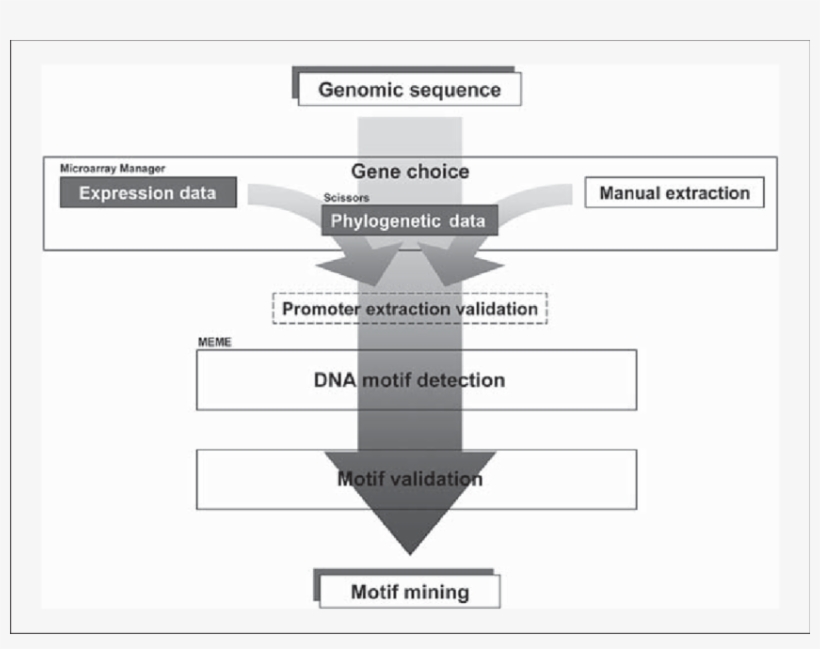 Download - Diagram, transparent png #5890978