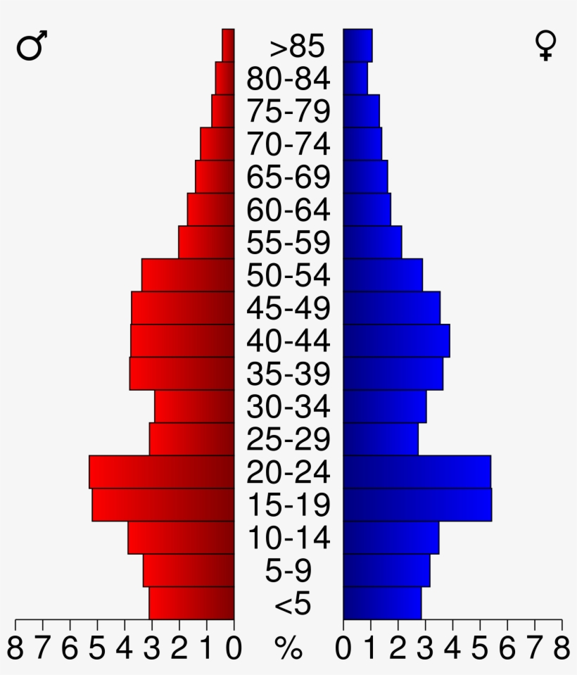 Open - Boulder County Population Pyramid, transparent png #5891305