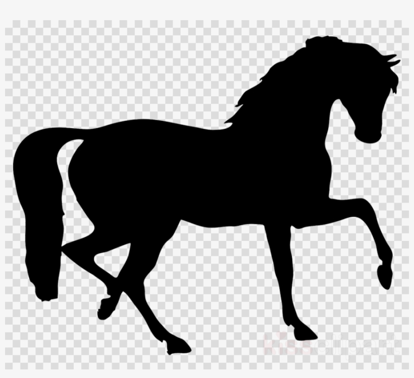 Animal Silhouettes Horse Clipart Horse Animal Silhouettes - Daryl The Pony Of Love, transparent png #5891618