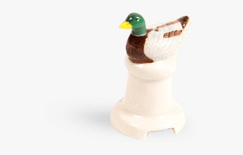 23rd April - Mallard, transparent png #5892924