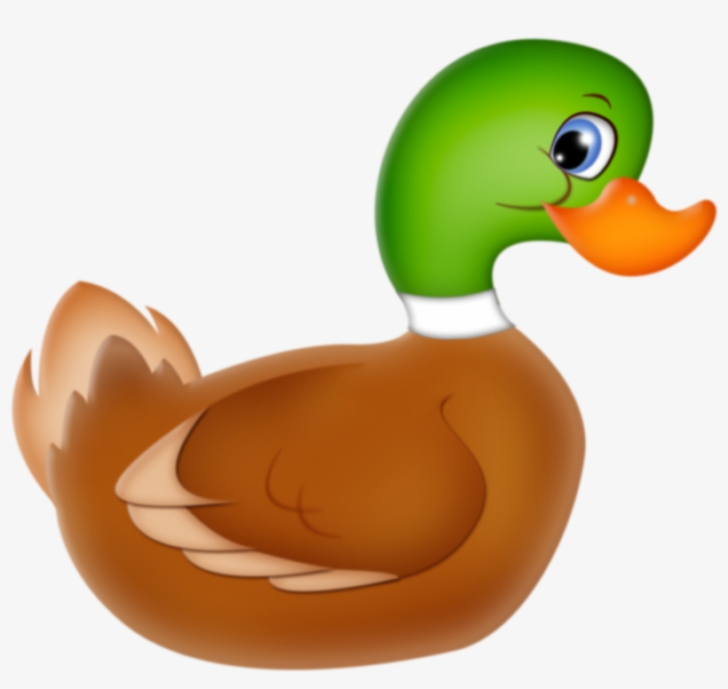 Mallard Duck * - Clip Art Canard, transparent png #5893246