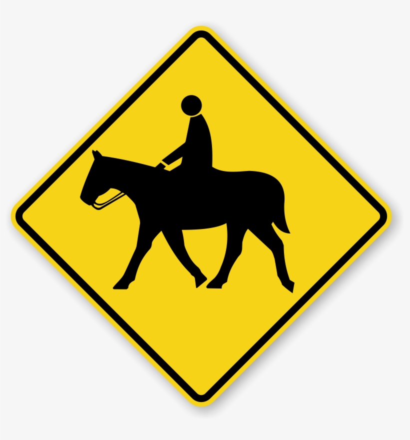 Zoom, Price, Buy - Noosa National Park, transparent png #5893402