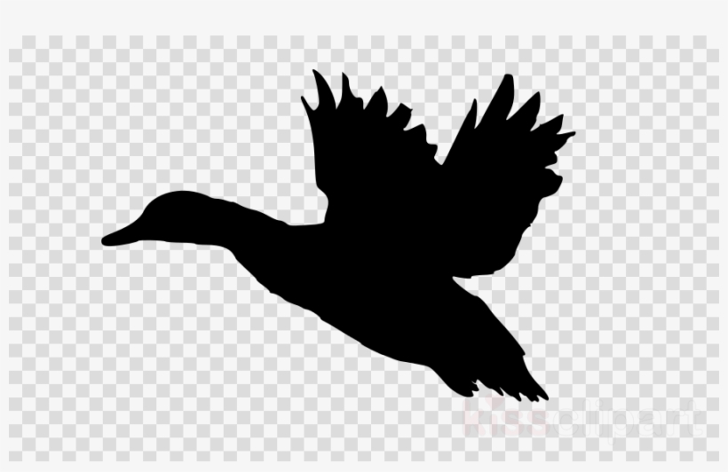 Duck Svg Clipart Mallard Duck Clip Art - Wrigley Field, transparent png #5893671
