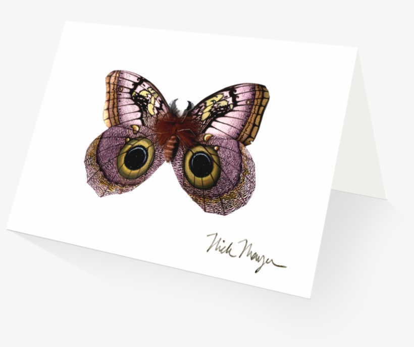 Owl Butterfly - American Painted Lady, transparent png #5894121