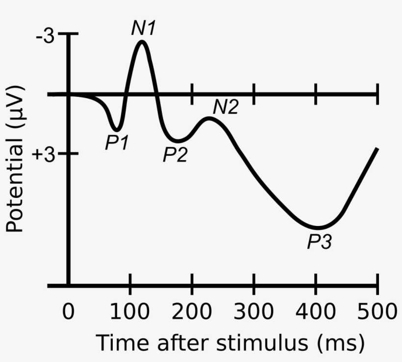 Event Related Potential Graph, transparent png #5894713