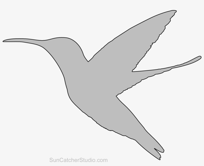 Humming Bird Pattern - Colibrí Negro Png, transparent png #5895797