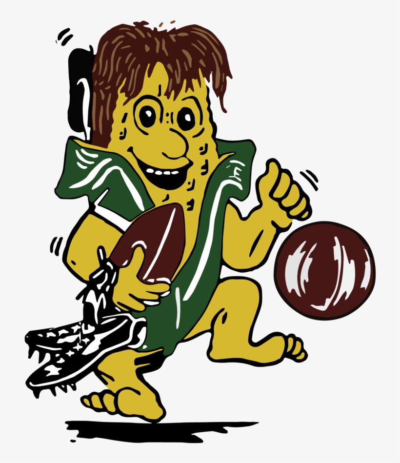 Hoopeston Area High School - Teutopolis Illinois Wooden Shoes, transparent png #5896092