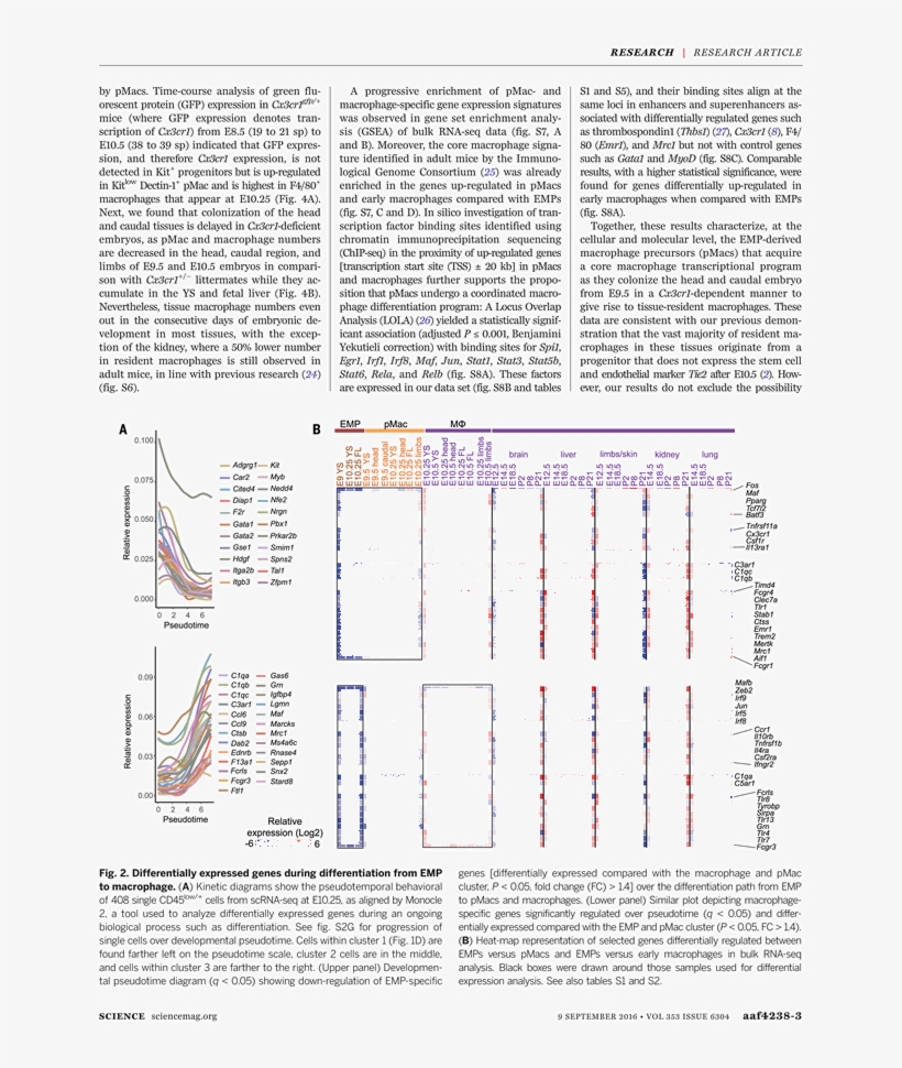 Untitled, Tailpiece, Pg. 99, In The Book Dingo By Octave, transparent png #5896100