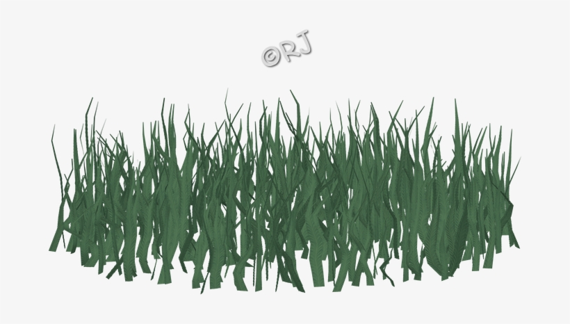 Some Images Shown Smaller Than Actual Size - Grass Family, transparent png #5896539