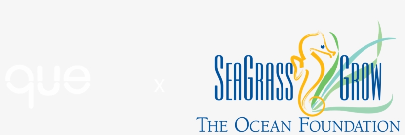 New Dimensions In Banjo, transparent png #5896955