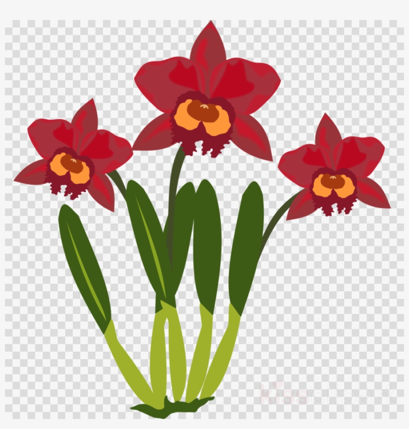 Narcissus Png, transparent png #5897551