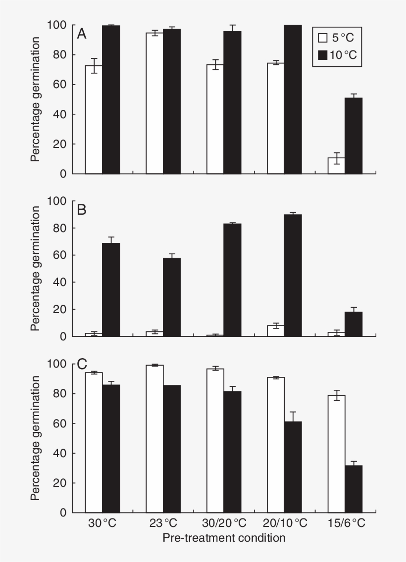 Final Percentage Germination Of Hyacinthodes Non-scripta, - Helicobacter Pylori Infection, transparent png #5897600